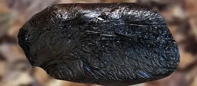 Mira dentro de sí mismo