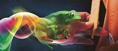 Desintoxicación profunda del organismo